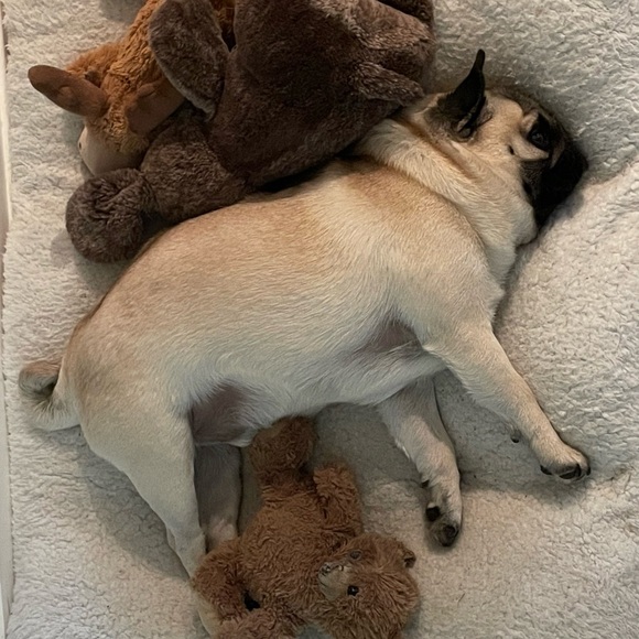 Meet your Posher, Ellen - Picture 1 of 1